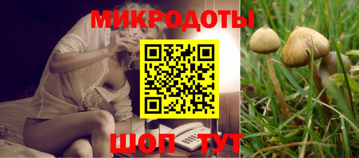 Галлюциногенные грибы Psilocybine cubensis Выборг